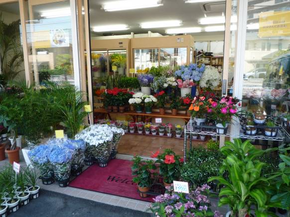 「フローリストイマイ」　（兵庫県明石市）の花屋店舗写真2